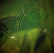 Aerial Pic